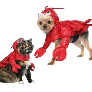 NWOT Vibrant Life Halloween Dog Costume and Cat Costume: Lobster, Size XS